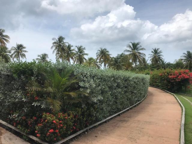 Bonheur A La Residence Savane Le Gosier  Buitenkant foto